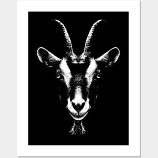 Goat / Portrait / Head Posters and Art